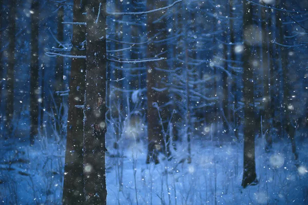 Winterlandschap Het Bos Sneeuwweer Januari Prachtig Landschap Het Besneeuwde Bos — Stockfoto