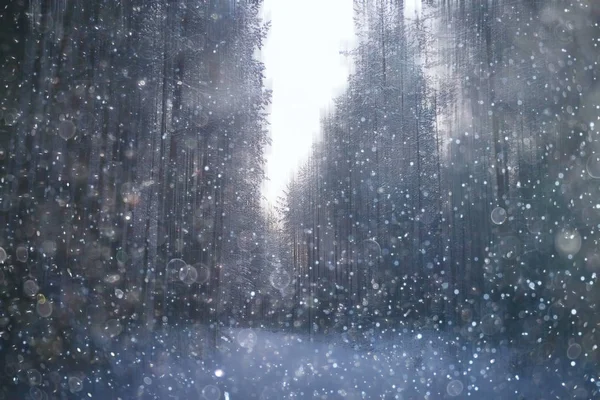 森林雪模糊的背景或冬天风景雪覆盖的森林 树木和分支在冬天天气 — 图库照片