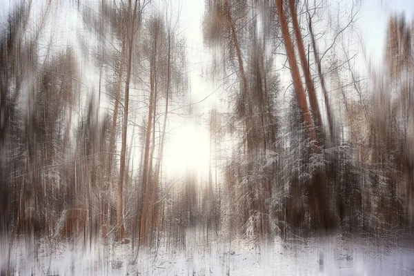 Abstract Forest Blurred Winter Vertical Lines Winter Forest Background Abstract — Stock Photo, Image