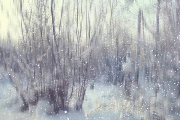 Wald Schnee Verschwommener Hintergrund Winterlandschaft Verschneiter Wald Bäume Und Äste — Stockfoto