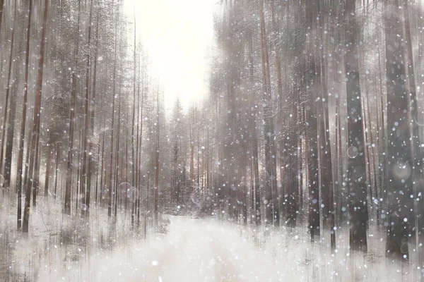 Floresta Neve Desfocada Fundo Inverno Paisagem Neve Coberto Floresta Árvores — Fotografia de Stock