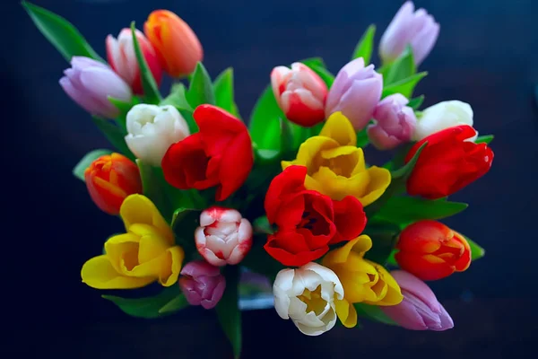 Buquê Tulipas Coloridas Flores Primavera Flores Bonitas Brilhantes Conceito Presente — Fotografia de Stock