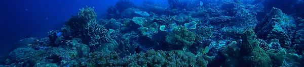 Subaquático Mundo Azul Mar Deserto Mundo Oceano Incrível Subaquático — Fotografia de Stock