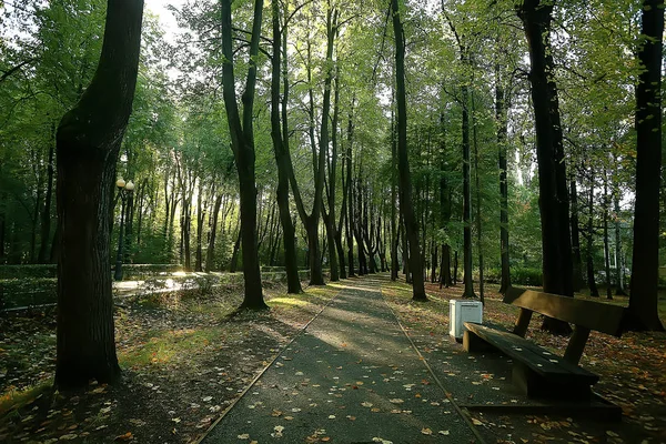 Ösvény Őszi Park Őszi Táj Sárga Park Őszi Fák Levelek — Stock Fotó