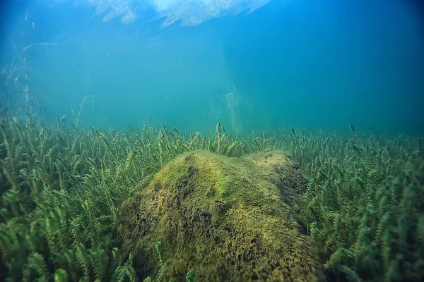 Lago Paesaggio Subacqueo Astratto Blu Acqua Trasparente Eco Protezione Della — Foto Stock