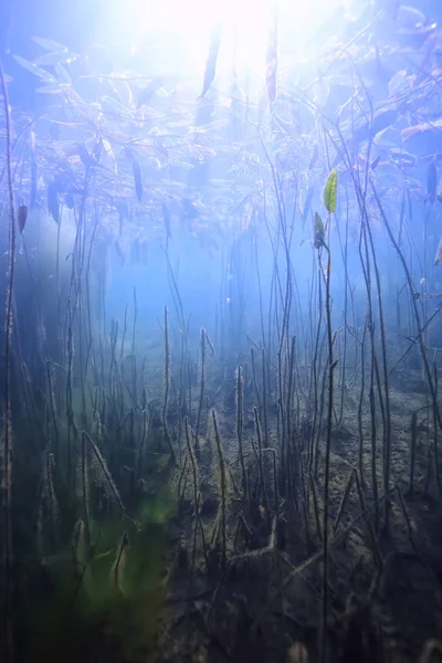 Lake Underwater Landscape Abstract Blue Transparent Water Eco Nature Protection — Stock Photo, Image