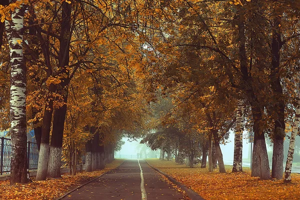 Otoño Paisaje Mañana Niebla Callejón Parque Ciudad Paisaje Brumoso Ciudad — Foto de Stock