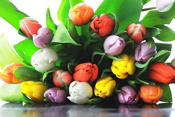 Strauß Bunter Tulpen Frühlingsblumen Leuchtend Schöne Blumen Frühlingsgeschenk Konzept — Stockfoto