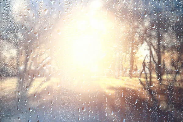 Background Wet Glass Drops Autumn Park View Landscape Autumn Park — Stock Photo, Image