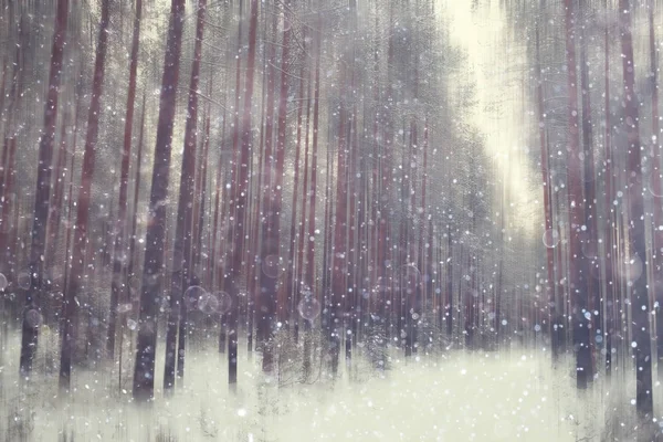 Orman Kar Bulanık Arka Plan Kış Manzara Kar Kaplı Orman — Stok fotoğraf
