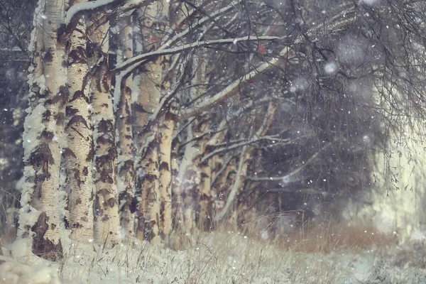 Boże Narodzenie Drzewo Las Mroźny Pejzaż Streszczenie Tło Zimą Śnieżne — Zdjęcie stockowe