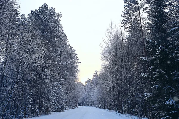 Paysage Hivernal Dans Forêt Temps Neigeux Janvier Beau Paysage Dans — Photo