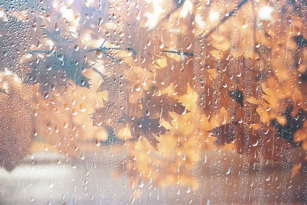 背景濡れたガラスは 公園の秋 濡れた窓から秋の公園の風景の眺め 秋の日の雨の天気の概念 — ストック写真