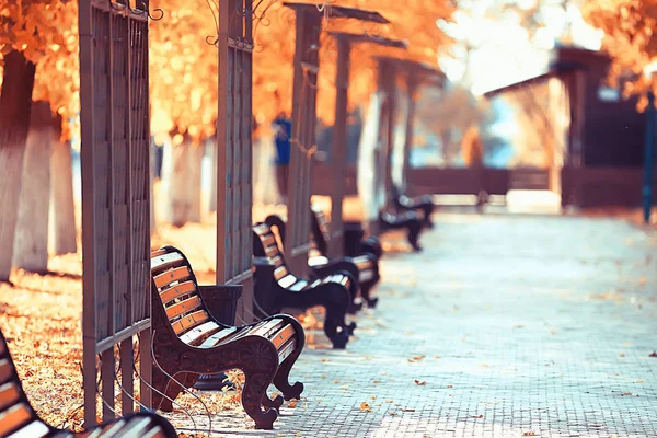 Landscape Autumn Park Bench Beautiful Garden Bench Concept Rest Nobody — Stock Photo, Image