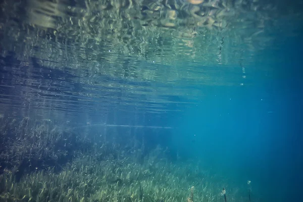 Fond Lac Eau Sous Marine Résumé Eau Douce Fond Plongée — Photo