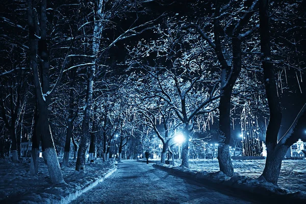 Notte Città Inverno Paesaggio Nel Mese Gennaio Città Luci Decorate — Foto Stock