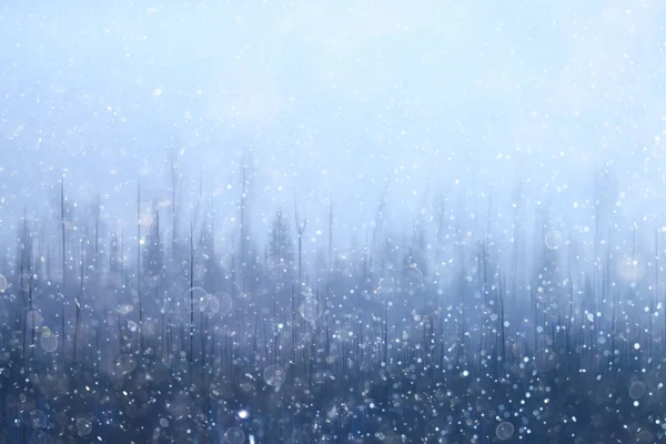 Forest Snow Blurred Background Winter Landscape Snow Covered Forest Trees — Stock Photo, Image