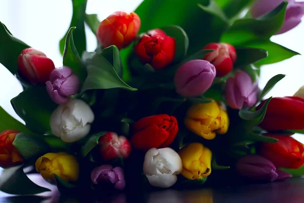 Strauß Bunter Tulpen Frühlingsblumen Leuchtend Schöne Blumen Frühlingsgeschenk Konzept — Stockfoto