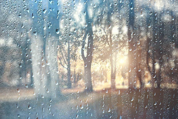 Frühlingstag Park Blick Auf Die Frühlingslandschaft Park Durch Das Fenster — Stockfoto