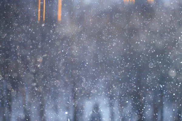 Las Śnieg Niewyraźne Tło Zima Krajobraz Pokryte Śniegiem Lasów Drzew — Zdjęcie stockowe
