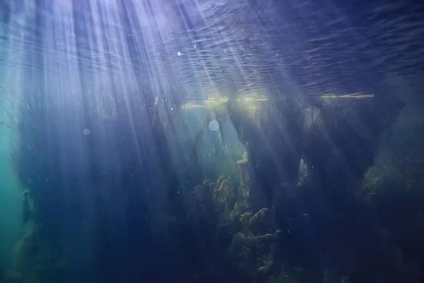 See Hintergrund Wasser Unterwasser Abstrakt Süßwasser Tauchen Hintergrund Natur Unterwasser — Stockfoto