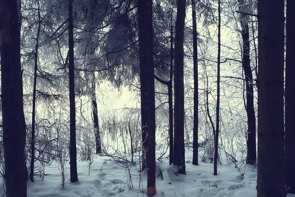 Kış Parkı Kış Havalarda Cityscape Manzara Kar Şehir Kuzeyde Bir — Stok fotoğraf