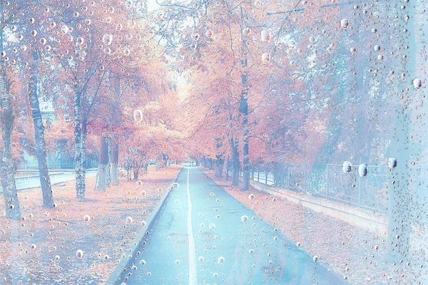 Hintergrund Nasses Glas Tropfen Herbst Park Blick Auf Die Landschaft — Stockfoto