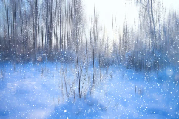Floresta Neve Desfocada Fundo Inverno Paisagem Neve Coberto Floresta Árvores — Fotografia de Stock