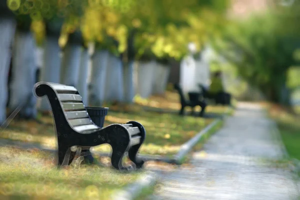 Abstrakter Verschwommener Hintergrund Eines Herbstparks Wunderschöne Landschaft Mit Highlights Und — Stockfoto