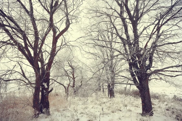 Зимовий Парк Міський Пейзаж Зимову Погоду Пейзажний Сніг Місто Дерева — стокове фото