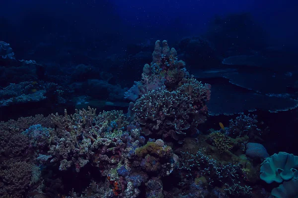 Підводна Губка Морське Життя Кораловий Риф Підводна Сцена Абстрактний Океанський — стокове фото