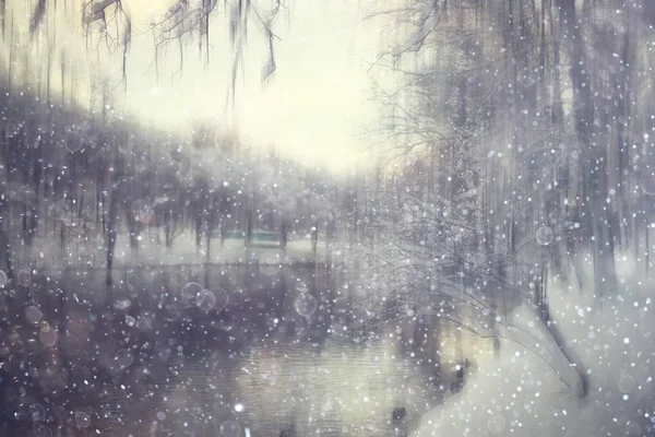 Лесной Снег Размытый Фон Зимний Пейзаж Заснеженный Лес Деревья Ветви — стоковое фото