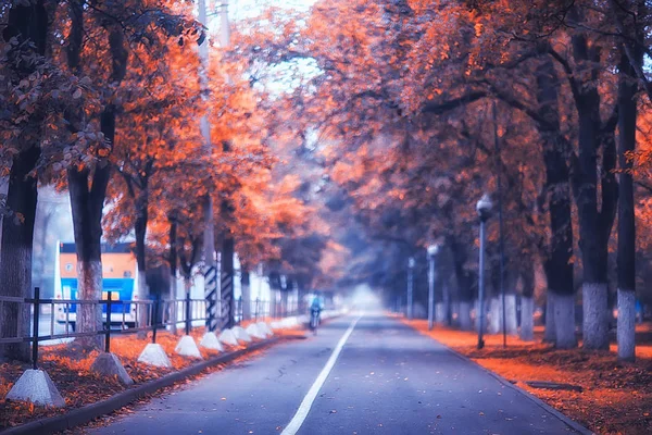 Outono Paisagem Manhã Nevoeiro Beco Parque Cidade Paisagem Nebulosa Cidade — Fotografia de Stock