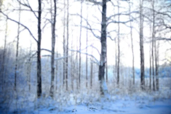 Abstrakter Wald Verschwimmt Winter Vertikale Linien Winter Waldhintergrund Abstrakte Landschaft — Stockfoto