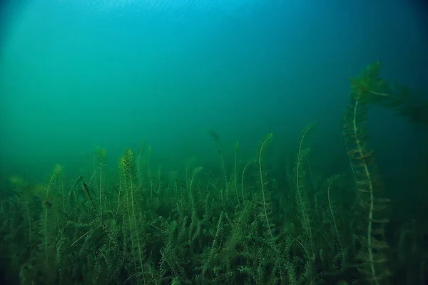 Ramp Ecologie Rivier Onderwater Landschap Vervuiling Ecologie Onderwater — Stockfoto