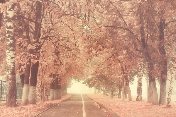 セピア秋の公園の風景 ヴィンテージスタイルで秋の風景 セピア色の公園でオレンジの路地10月 — ストック写真