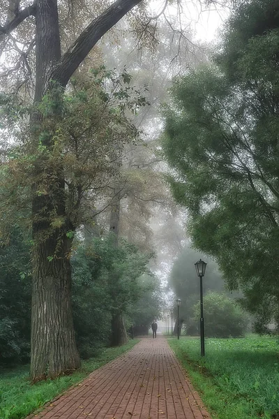 summer park city fog / beautiful city landscape