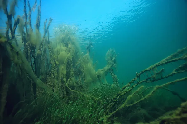 Jezioro Podwodne Krajobraz Abstrakcyjny Niebieski Przezroczysty Woda Eko Ochrony Przyrody — Zdjęcie stockowe