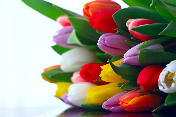 Strauß Bunter Tulpen Frühlingsblumen Leuchtend Schöne Blumen Frühlingsgeschenk Konzept — Stockfoto