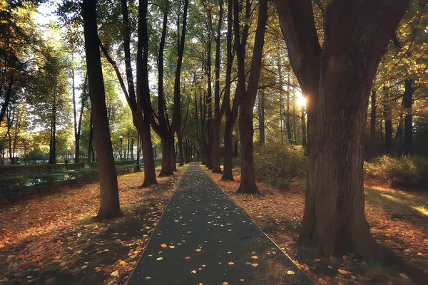 Cesta Podzimní Park Podzimní Krajina Žlutý Park Podzimních Stromech Listí — Stock fotografie