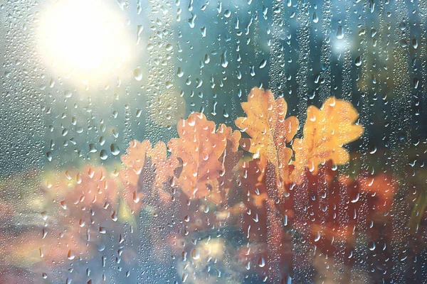背景湿玻璃下落秋天在公园 风景风景在秋天公园从一个湿窗口 雨天的概念在秋天天 — 图库照片