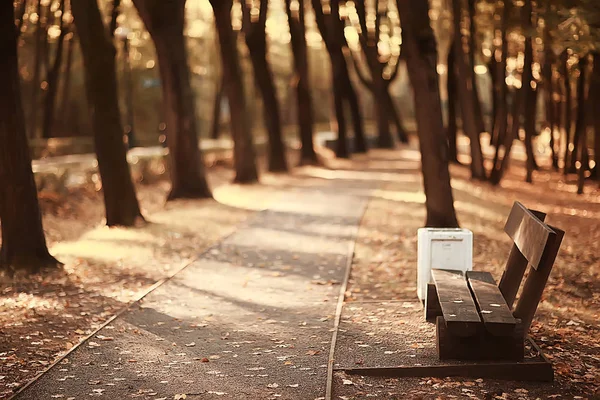 秋の公園のベンチの風景 美しい庭のベンチ 休息の概念 秋の公園で誰も 風景の背景 — ストック写真
