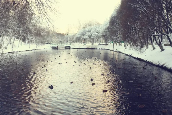 Winterpark Stadtbild Bei Winterwetter Schnee Der Landschaft Stadt Bäume Stadtpark — Stockfoto