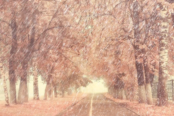 Automne Pluie Dans Parc Automne Paysage Météo Sous Pluie Feuilles — Photo