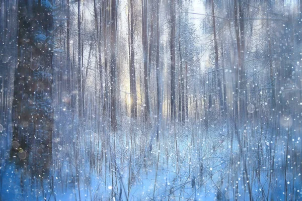 Foresta Neve Sfocata Sfondo Paesaggio Invernale Foresta Innevata Alberi Rami — Foto Stock