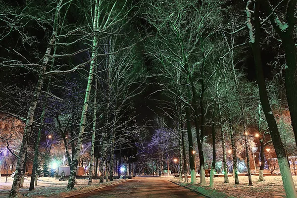 Notte Città Inverno Paesaggio Nel Mese Gennaio Città Luci Decorate — Foto Stock