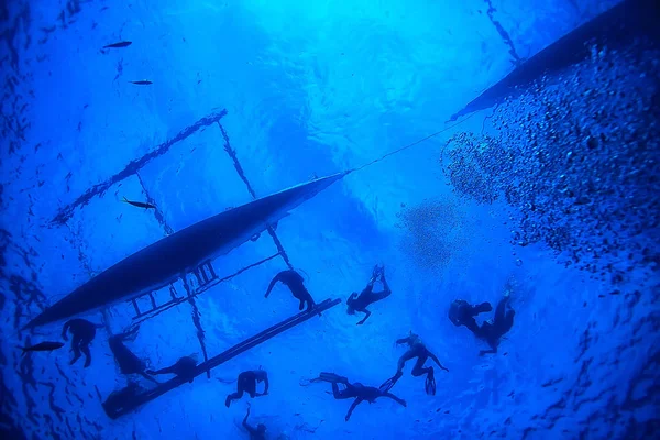 Snorkeling Whale Shark Filipinas Mergulho Com Tubarões Cena Subaquática — Fotografia de Stock