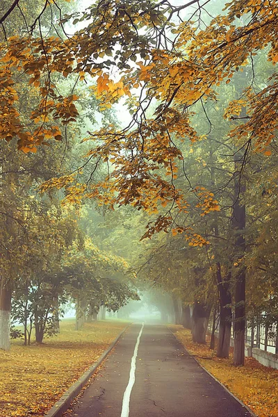 Autumn Landscape Morning Fog Alley City Park Misty Landscape City — Stock Photo, Image