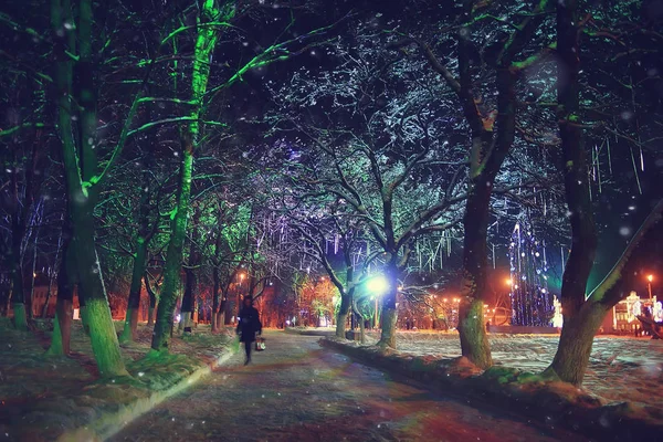 ナイトシティ冬 月の風景休日のために装飾された都市のライト 都市公園の木々 冬の風景 — ストック写真