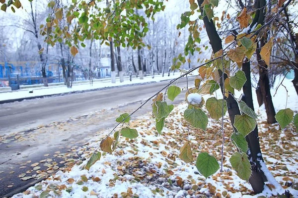 Зимний Парк Городской Пейзаж Зимнюю Погоду Снег Город Деревья Городском — стоковое фото